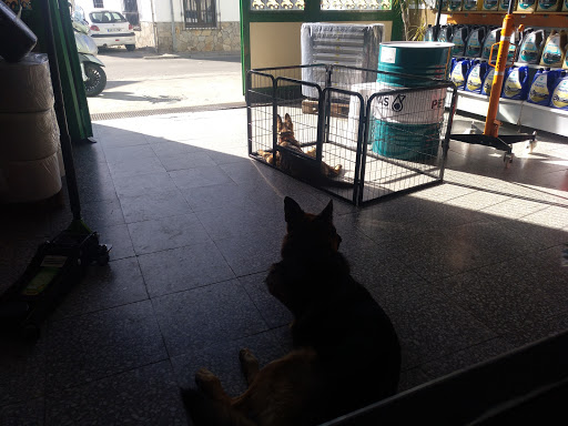 Recambios Tecnisur Motril