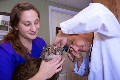 Photos of Mountain Parks Veterinary Hospital