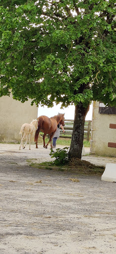 Cabinet vétérinaire Equin - Haras de la Garde
