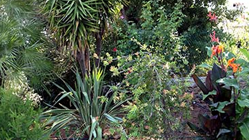 Photo de Passion Jardin En Provence