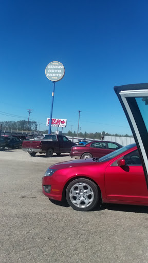Sevan Auto Parts - Visual