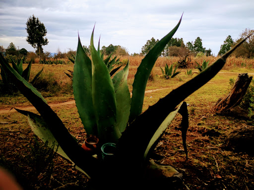 Rancho Gutierrez-Soto - Thumbnail