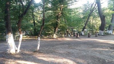 Photos of Фонтан