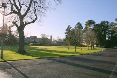 Irish Management Institute