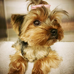 Photo n°6 de Clinique Vétérinaire My Vet Vallauris à Vallauris (Clinique vétérinaire)