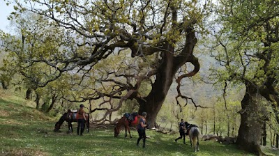 Caravan Horse Riding Albania