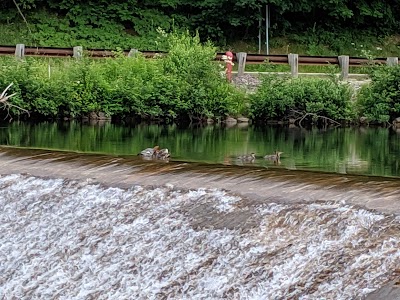 Campton pond and dam