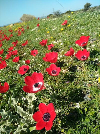 Uzun Kuyu Mesire Yeri