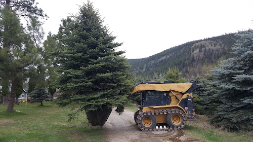 AAA Okanagan Tree Movers and Bobcat Services - Thumbnail
