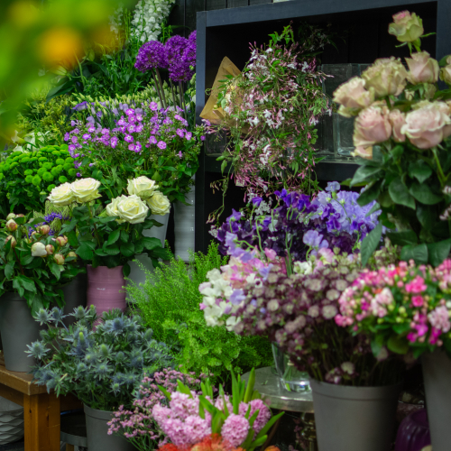 L' Atelier de Coquelicot - Thumbnail