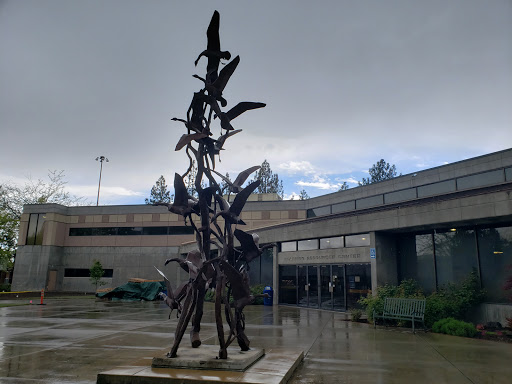 Oregon Tech Library - Visual
