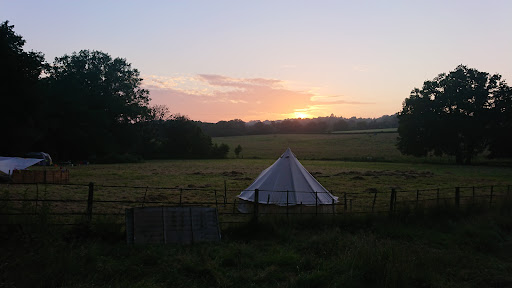 Sunset Tree Camping - Visual