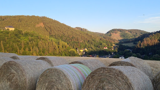 Löhmberg - Visual