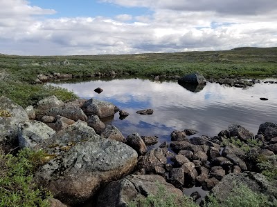 Photos of Trondsbu