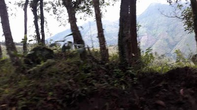 Photos of Volcan Machin