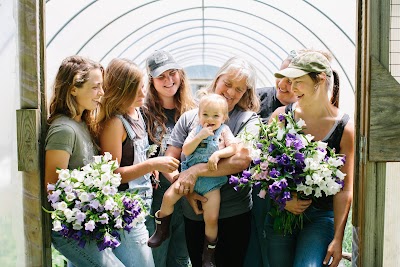 Pisarcik Flower Farm