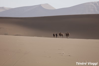 Ténéré Viaggi sas di Quaglino Gian Paolo