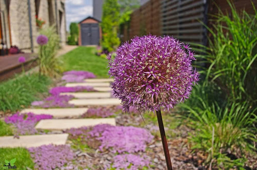 CITYGARDEN - Zakładanie Ogrodów, Projektowanie Tarasów