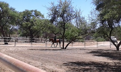 photo of Nubuamis Riding School