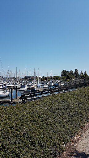 Chevron Point Roberts - Thumbnail