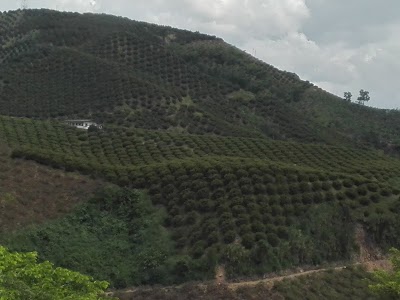 Photos of Restaurante La Bascula