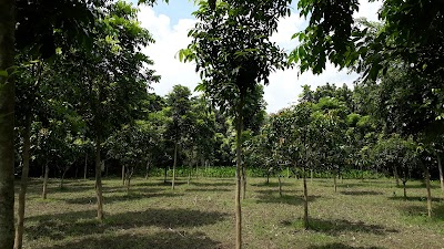 Photos of Faridpur Ta Bazar
