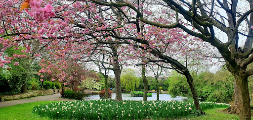 Rossmere Park - Visual