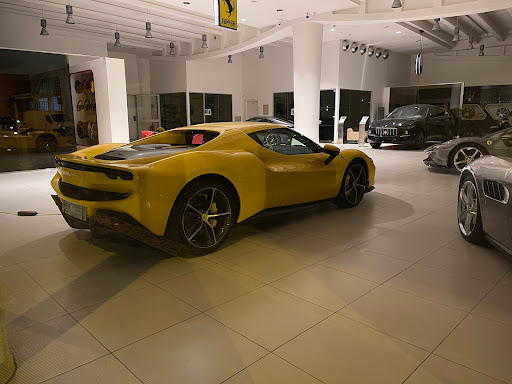 Sa.Mo.Car. Spa - Prato - Visual