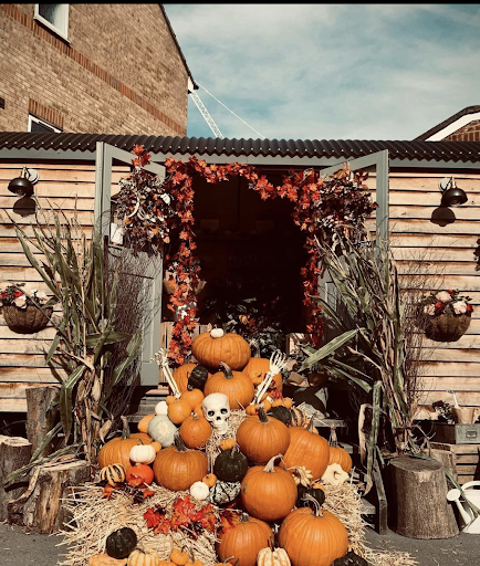 Blush Flower Hut Ltd - Thumbnail
