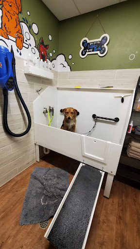EarthWise Pet Supply & Grooming Madison - Thumbnail