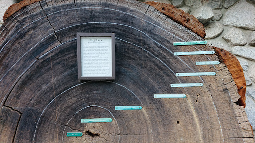 Yosemite Museum - Thumbnail