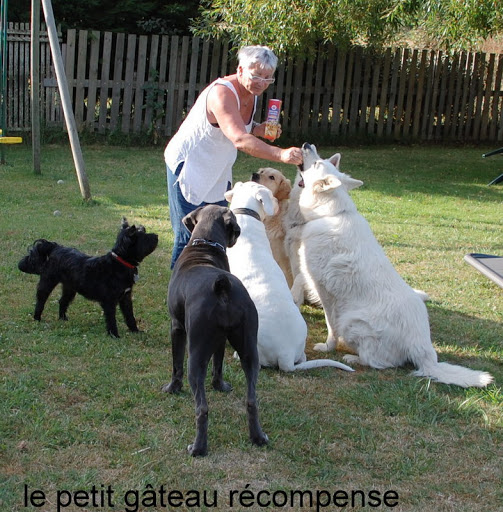 Les Anges Gardiens