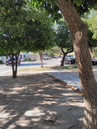 Privada Texcoco Park - Thumbnail