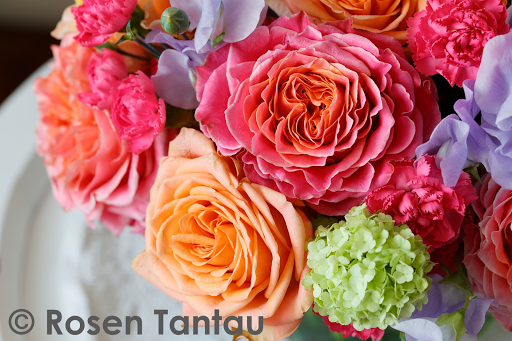 Rosen Tantau