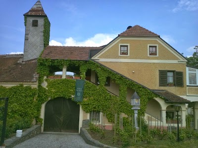 Photos of Weingut Hermenegild Mang