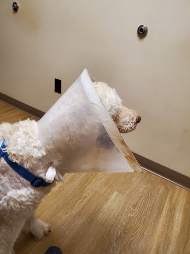 Hernando Animal Clinic - Thumbnail