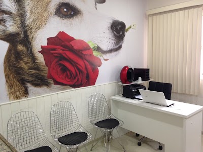 Photos of Rio Vet