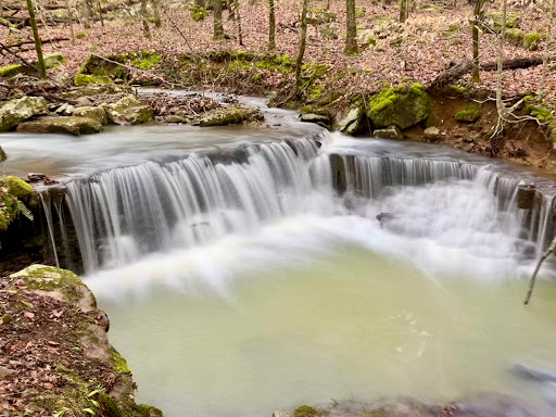 Sally Ann Hollow Quads - United States