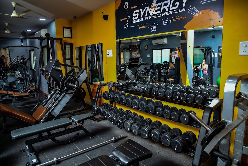 Synergy Fitness Wellness Club Akola Gym