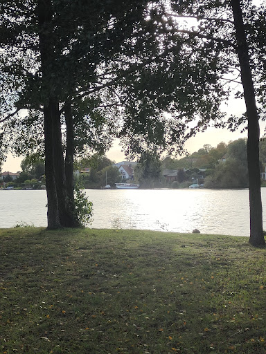 Bunter Blühstreifen - Thumbnail