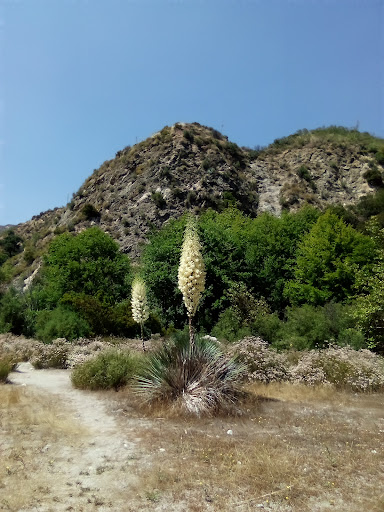 Grizzly Flat Trailhead - Thumbnail