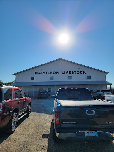 Napoleon Livestock - Thumbnail
