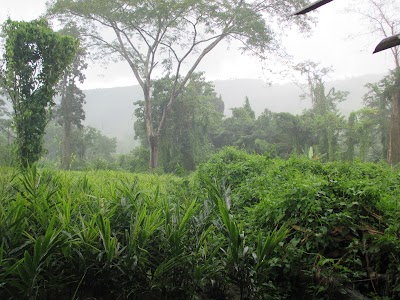 Photos of Jadipai Waterfall