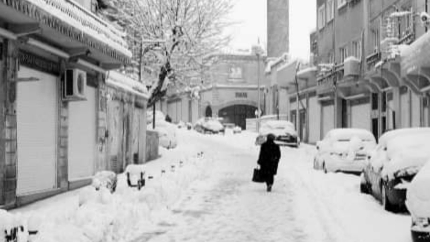 Al Hayaal — photo 4