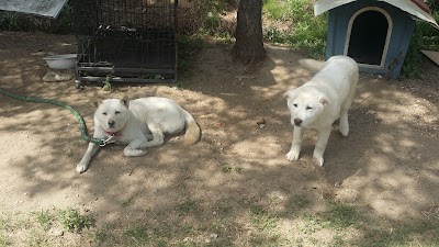 Photos of 연등국제선원