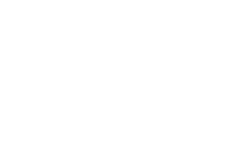 Haley Jo Auto - Visual