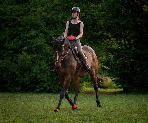 Ventu'Riding - Thumbnail