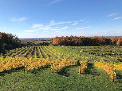 Domaine Cotes d'Ardoise - Vignoble & Cidrerie 879 Rue Bruce, Dunham, QC J0E 1M0, Canada