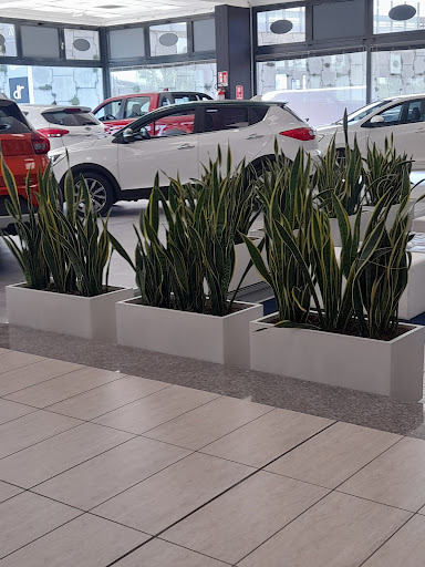 Auto Azzurra Store Srl Mantova - Thumbnail