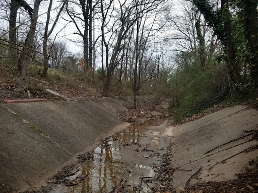 Arbutus Skate Ditch - Thumbnail